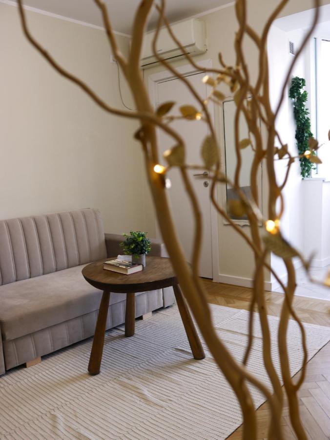 Mina City Center Apartment Amzei Bucarest Extérieur photo