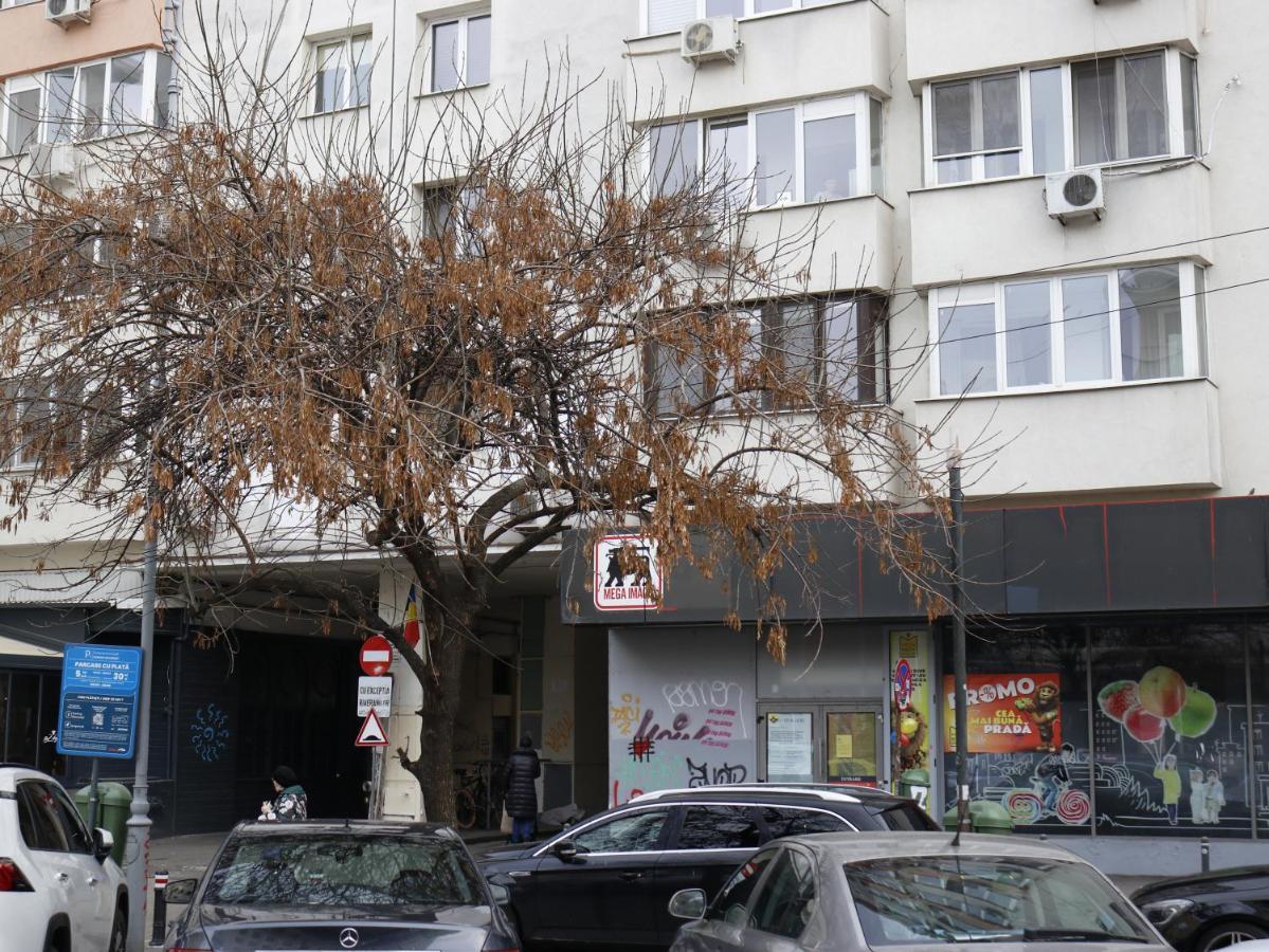 Mina City Center Apartment Amzei Bucarest Extérieur photo